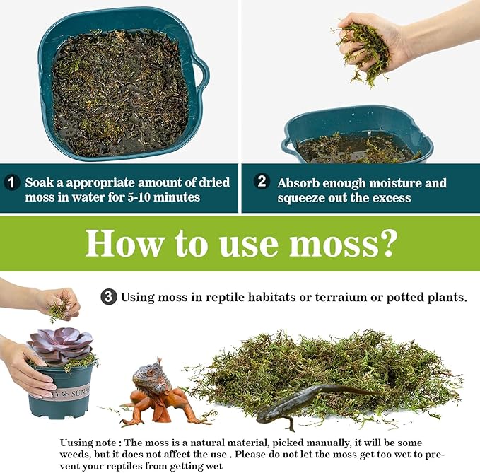 Sukh Sphagnum Moss for Reptiles -Terrarium Moss for Reptiles Peat Moss for Reptiles Habitat Bedding Moss for Snakes Turtle Frog Gecko and Other Reptiles Substrate (6.3, Ounces)