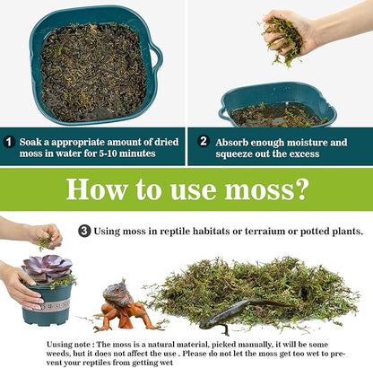 Sukh Sphagnum Moss for Reptiles -Terrarium Moss for Reptiles Peat Moss for Reptiles Habitat Bedding Moss for Snakes Turtle Frog Gecko and Other Reptiles Substrate (6.3, Ounces)
