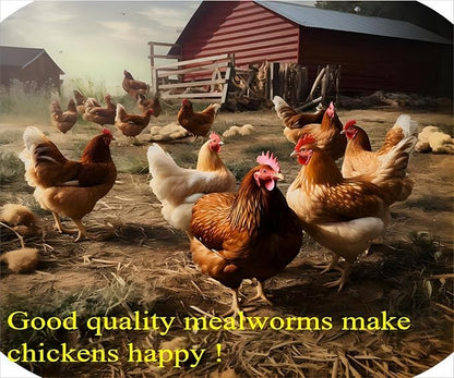 5lb Dried mealworms - High Protein, Pure Natural, Delicious - Ideal for Chickens, Birds, Ducks, Lizards, Turtles, Fish, and Reptiles, 5lb Meal Worms