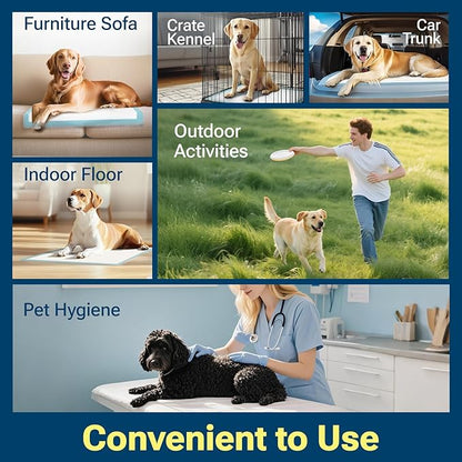 Extra Large Puppy Pads 28"x34",Super Absorbent Disposable Pee Pads for Dogs / Wee Wee Pads / Potty Training Pads, Incontinence Bed Underpads for Adults, 100 Count