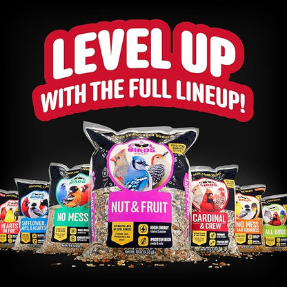 All Birds Wild Bird Seed – 10 lb. Classic Blend with Black Oil Sunflower, White Millet, Safflower, Peanuts & Sunflower Hearts – Balanced Bird Food for Outside Feeders