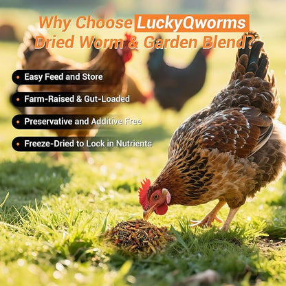 Worm & Garden Blend - Premium Treat for Chickens, Birds, Ducks, Reptiles & Hedgehogs - High Protein Feed with Dried Mealworms, BSFL, Veggies - 1 Lbs Resealable Bag Bug 'n' Veggie Buffet