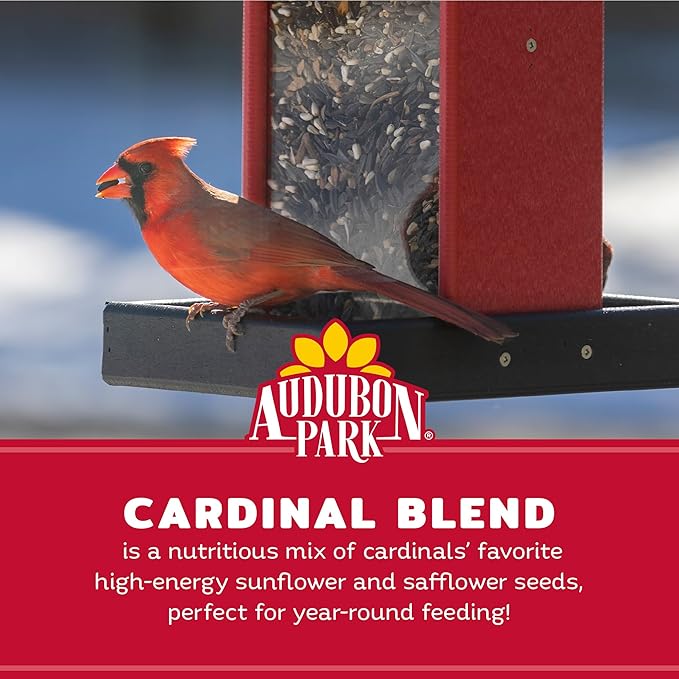 Audubon Park Cardinal Wild Bird Seed - 8 lb. No Corn, Milo, or Millet – Sunflower & Safflower Mix – Bird Food for Outside Feeders