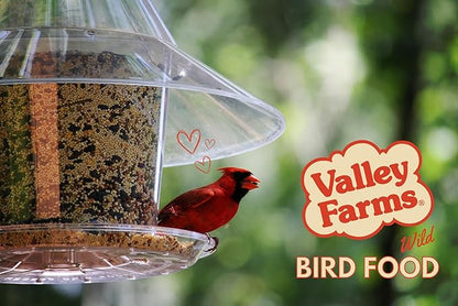 Valley Farms Hi-Flite Wild Bird Food - Best Seed Value for All Species of Birds for Outside Bird Feeders (5 Pound (Pack of 2))