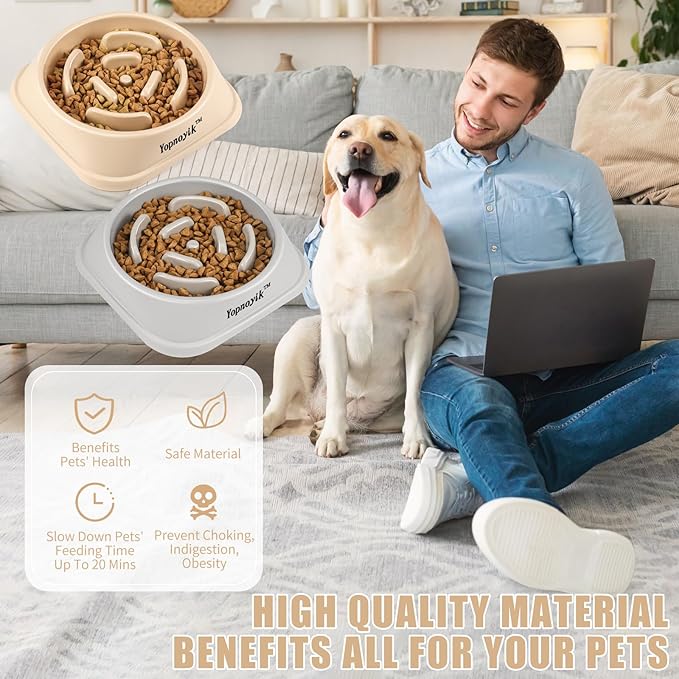 2 Pack Slow Feeder Dog Bowls for Healthy Eating, Non-Slip and Anti-Choking Design, Reduces Bloating & Overeating for Medium Dogs and Cats, Easy to Clean