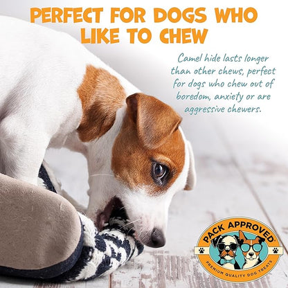 6" Braided Camel Sticks - Long Lasting Dog Chews for Aggressive Chewers - Rawhide Alternative, Grain Free, One Ingredient Dog Treats - Great for Dog Dental Care - (10 Pack)