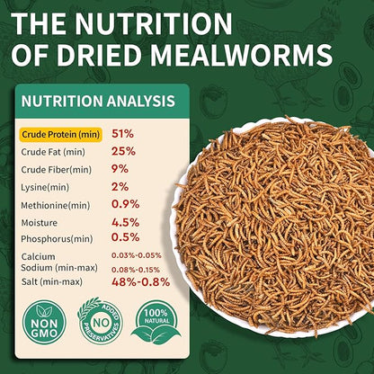 10LB Dried Mealworms, 100% Natural, Non-GMO Meal Worms, Dried for Chickens, Wild Birds, Reptile, Hamster, Hedgehog, Pigeon