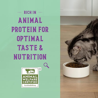Open Farm Goodbowl, Protein Rich Dry Cat Food Made from Meticulously Sourced Simple Ingredients, Harvest Chicken & Brown Rice Recipe, 7lb Bag (112oz Bag)