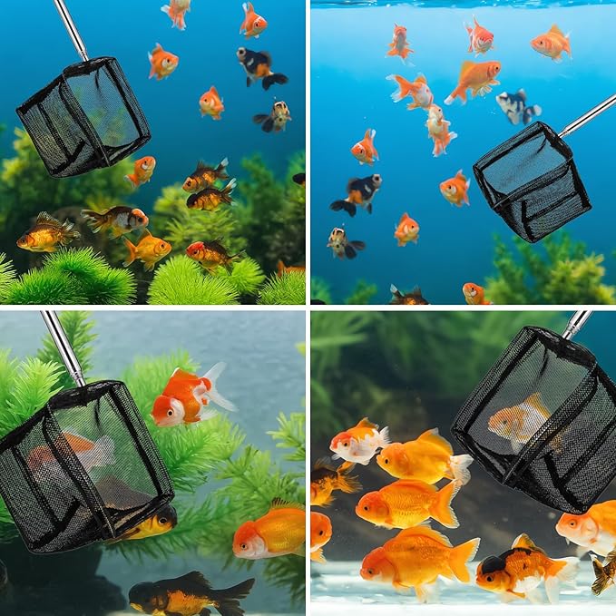 2 Pack Fish Net for Fish Tank Aquarium Net Small Black Aquarium Shrimp Nets with Extendable Stainless Steel Handle Fine Tank Tool Mesh for Shrimp, Food Residue Debris Skimming