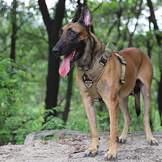 ICEFANG Dog Strap Harness with 4 x Metal Buckles,for Large Sized Dog,K9 Vest,Y-Shape Chest,Adjustable Pet Harness,No-Pull Front Leash Clip (Large (Pack of 1), Brown)