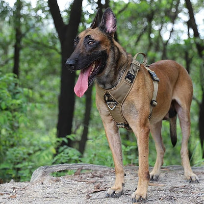 ICEFANG Dog Strap Harness with 4 x Metal Buckles,for Large Sized Dog,K9 Vest,Y-Shape Chest,Adjustable Pet Harness,No-Pull Front Leash Clip (Large (Pack of 1), Brown)