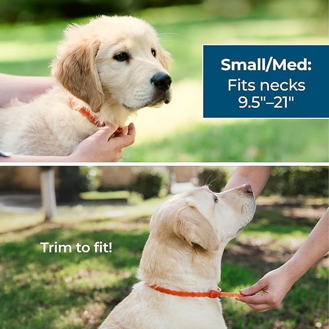 Wondercide Dog Collar - Flea, Tick, and Mosquito Repellent for Dogs - with Natural Essential Oils - Up to 4 Months Protection - Small Medium