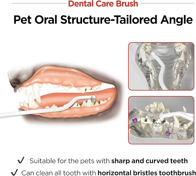 JAYU PET Dental Care Brush (Soft Bristles) 1ea - Dog Toothbrush, Cat Toothbrush, Dental Care for Kitten and Small Dogs, Removing Old Plaque and Tartar, Cat Teeth Brushing & Easy Cleaning