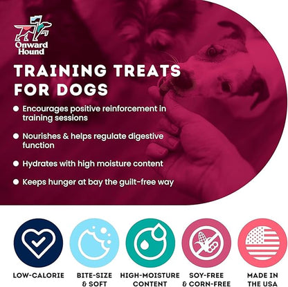 Training Treats for Dogs - Soft Salmon - Low Calorie Dog Training Treats for Sensitive Stomachs with Single Source Premium Protein, Corn Free, & Soy Free Formula - 10 oz
