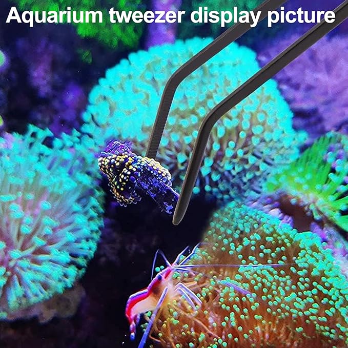 31.5Inch Long Coral Reef Grabber,Coral Feeder,Aquarium Veggie Feeder,Aquarium Food Clip Feeding(Long Reef Grabber and Coral Feeder Kits Never Rust), Blue