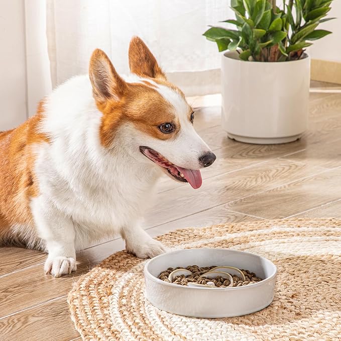 vancasso Slow Feeder Dog Bowl, 1.5 Cups Ceramic Slow Feeder for Medium Breed, Puzzle Maze Dog Food Bowl for Fast Eater, Light Gray