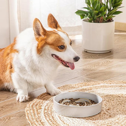 vancasso Slow Feeder Dog Bowl, 1.5 Cups Ceramic Slow Feeder for Medium Breed, Puzzle Maze Dog Food Bowl for Fast Eater, Light Gray