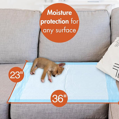 Caring Disposable Underpads, Pet Pee Pads for Potty Training, Moderate Absorbency, 23 x 36 in, 50-Pack