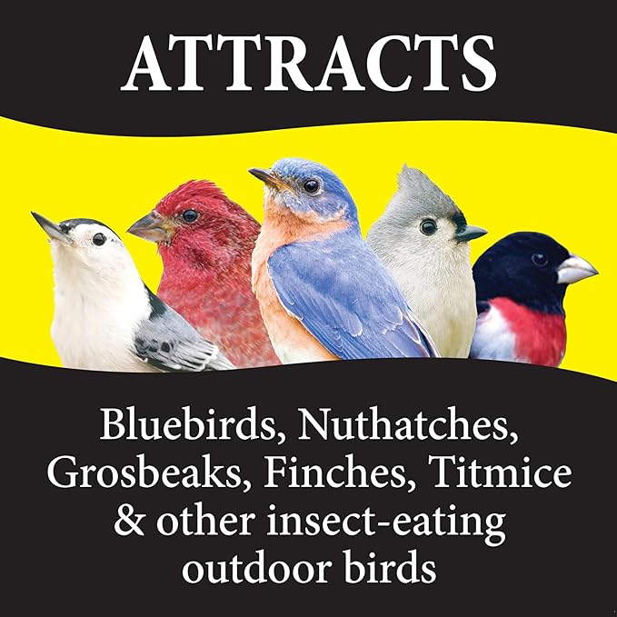 Wild Delight 099127 Bugs N' Berries Wild Bird Food, 4.5 lb