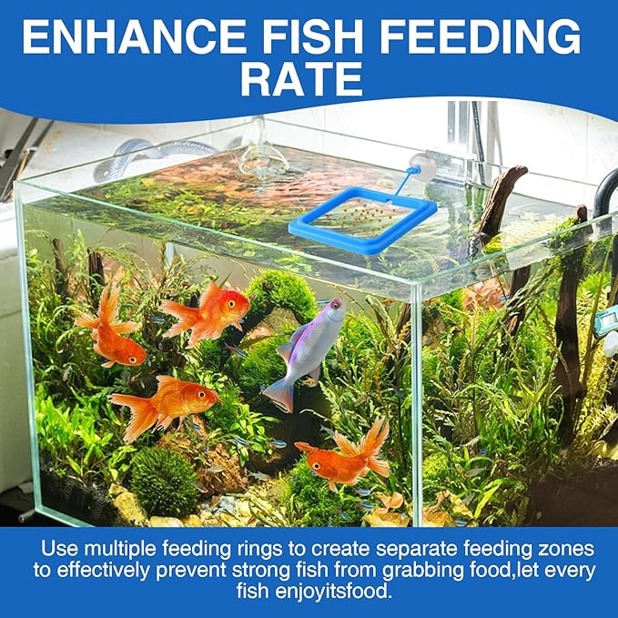 4 Pack Fish Feeding Ring for Betta Fish, Floating Food Container with Suction Cup, Square and Round Design, Black and Blue