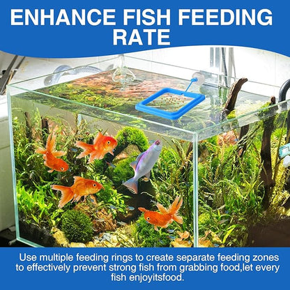 4 Pack Fish Feeding Ring for Betta Fish, Floating Food Container with Suction Cup, Square and Round Design, Black and Blue
