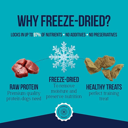 Stewart Single Ingredient Freeze Dried Raw Dog Treats, Chicken Liver, 2.5 Ounce, Approx. 45 Pieces per Resealable Pouch, Training Treats or Meal Topper, High Protein, Grain Free, Gluten Free