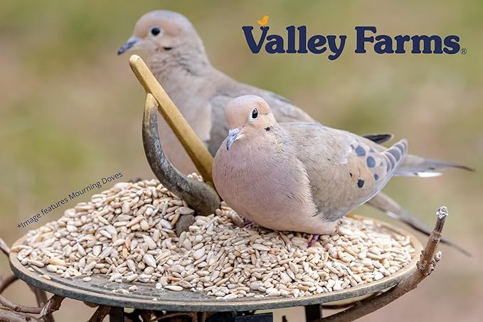 Valley Farms Whole Sunflower Hearts for Birds (40 LB) No Mess Bird Seed for Outside Feeders, Attract Finches, Cardinals, & More Wild Birds, Very Clean Sunflower Seeds