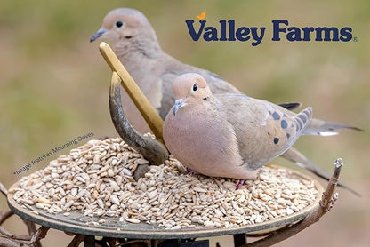 Valley Farms Whole Sunflower Hearts for Birds (40 LB) No Mess Bird Seed for Outside Feeders, Attract Finches, Cardinals, & More Wild Birds, Very Clean Sunflower Seeds