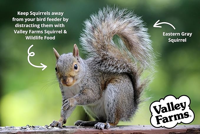 Valley Farms Squirrel & Wildlife Mix (4 LB) Wildlife Food and Wild Bird Food, Bird Seed for Squirrel Chipmunks & Deer, Peanuts, Black Oil Sunflower & Corn