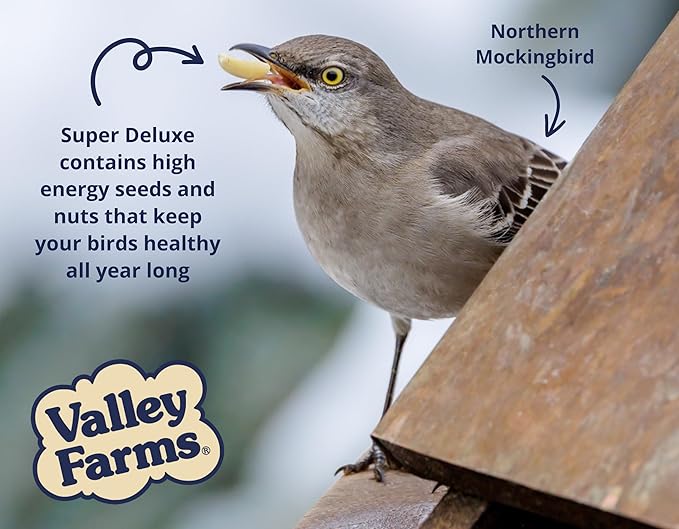 Valley Farms Super Deluxe Wild Bird Food for Outside feeders - 0% fillers - Loads of Sunflower Seed - w/Peanut kernels -Feed More Birds w/Less Seed (4 LBS)