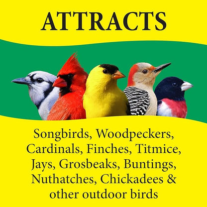 Wild Delight 366200 20-Pound Nut N-Berry Birdfood, 20 lb