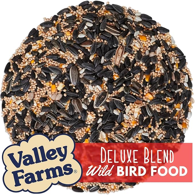 Valley Farms Deluxe Blend 4 LB 2-Pack (8 LBS Total) Wild Bird Food for Outside Feeders with Black Oil Sunflower Seed and Safflower Seed for Birds - A Select Birdseed