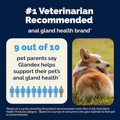 Vetnique Glandex Anal Gland Soft Chew Treats with Pumpkin for Dogs Digestive Enzymes, Probiotics Fiber Supplement for Dogs Boot The Scoot (Peanut Butter Chews, 120 Count)