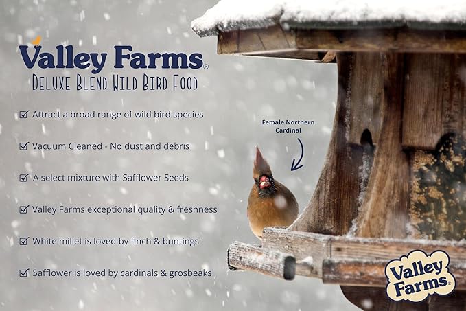 Valley Farms Deluxe Blend 4 LB 2-Pack (8 LBS Total) Wild Bird Food for Outside Feeders with Black Oil Sunflower Seed and Safflower Seed for Birds - A Select Birdseed