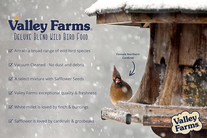 Valley Farms Deluxe Blend (40 LB) Wild Bird Food for Outside Feeders with Black Oil Sunflower and Safflower Seeds for Birds - Value Birdseed
