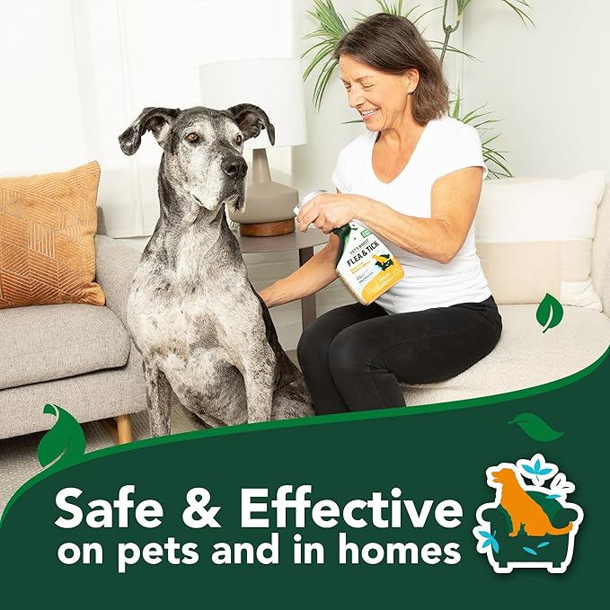 Vet’s Best Flea & Tick Home Spray for Dogs – Plant-Based Flea and Tick Treatment with Cotton Spice Scent – Indoor Flea Spray for Dogs – Made in USA Flea Control for Home Use – 32 oz