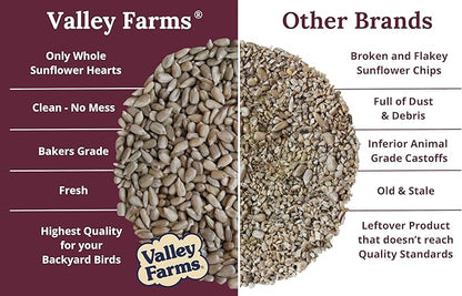 Valley Farms Whole Sunflower Hearts for Birds 4 LB 2-Pack (8 LB Total), Sunflower Kernels Wild Bird Food, No Mess Wild Bird Seed for Outside Feeders, Sunflower Hearts Birdseed