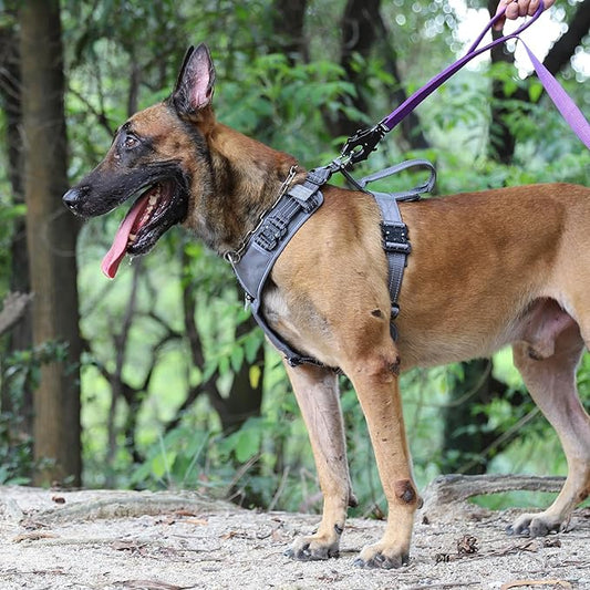 ICEFANG Dog Strap Harness with 4 x Metal Buckles,for Medium Sized Dog,K9 Vest,Y-Shape Chest,Adjustable Pet Harness,No-Pull Front Leash Clip (Medium (Pack of 1), Grey)