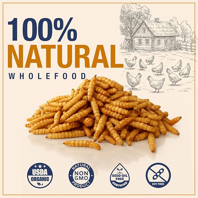 USA Grown Black Soldier Fly Larvae for Chickens - 100% Natural Dried Worms, Grubs & Mealworms with 85X More Protein Chicken Treats for Laying Hens - Birds Feed Supplement for Ducks & Reptiles