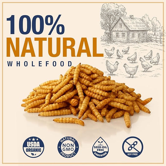 USA Grown Black Soldier Fly Larvae for Chickens - 100% Natural Dried Worms, Grubs & Mealworms with 85X More Protein Chicken Treats for Laying Hens - Birds Feed Supplement for Ducks & Reptiles