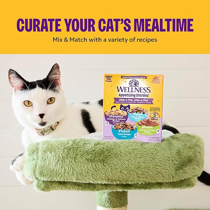 Wellness Appetizing Entrées Shredded Adult Wet Cat Food, Natural, Protein-Rich, Grain Free, 2.8 Ounce Pouch, 8 Pack (Chicken & Duck Recipe)