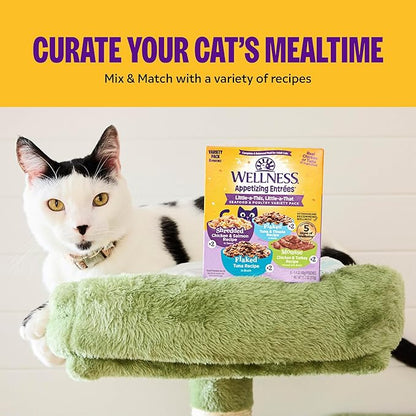 Wellness Appetizing Entrées Shredded Adult Wet Cat Food, Natural, Protein-Rich, Grain Free, 2.8 Ounce Pouch, 8 Pack (Chicken & Duck Recipe)