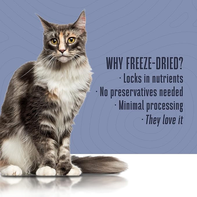 Whole Life Pet Healthy Gut Daily Cat Supplements, Cat Probiotics for Constipation Relief, Anti Diarrhea, Vomit Remedy & Digestive Support, Pumpkin Puree for Cats, Cat Health Supplies - 30-Day Supply