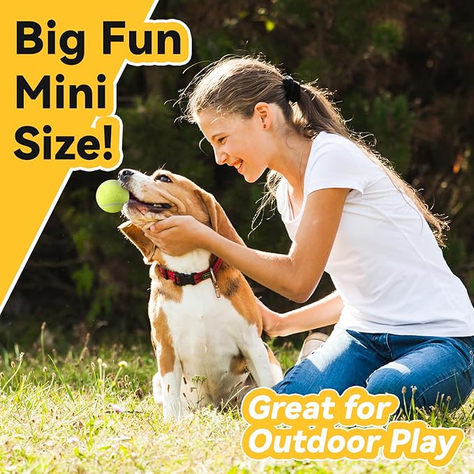 susu & wuwu 12 Pack Squeaky Balls for Small Dogs, 2 Inch Small Tennis Balls Interactive Fetch Dog Toy, Non-Toxic Durable Puppy Chew Toys for Teething, Training, Playing, Throwing