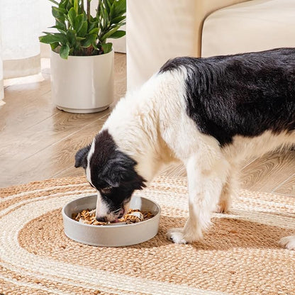 vancasso Slow Feeder Dog Bowl, 3 Cups Ceramic Slow Feeder for Large Breed, Puzzle Maze Dog Food Bowl for Fast Eater, Light Gray