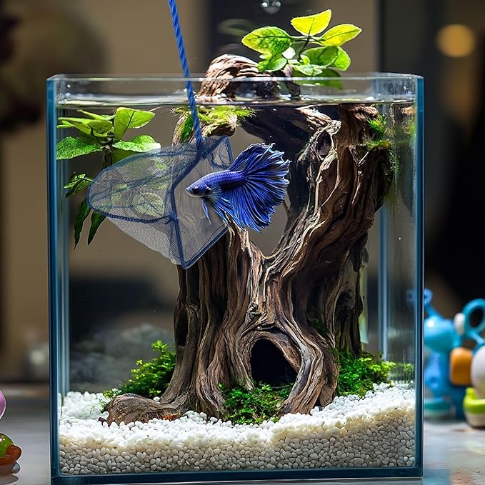 3 Pack Aquarium Net, Multi-Size Fine Quick Fish Catch Nets Extra Soft Nylon Fishing Nets with Plastic Handle for Aquarium Fish Tank Supplies- Blue (4in,5in, 6in)