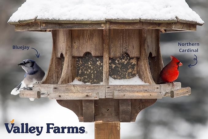 Valley Farms Deluxe Blend (40 LB) Wild Bird Food for Outside Feeders with Black Oil Sunflower and Safflower Seeds for Birds - Value Birdseed