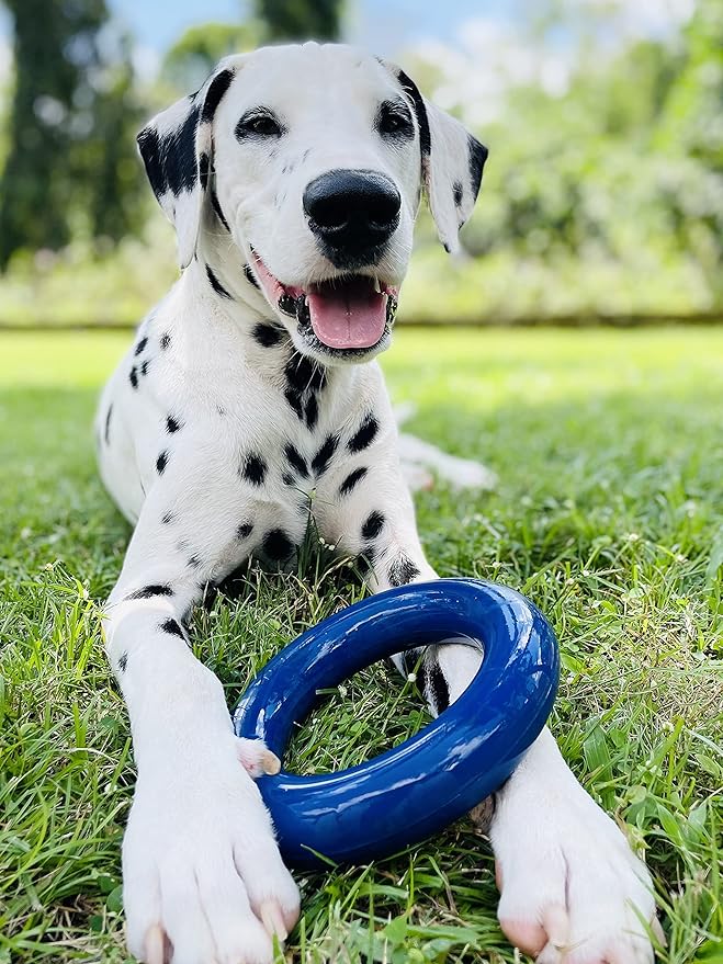 Tuff Pupper SuperChewy Tough Dog Ring Toy | Lifetime Replacement | Strong Natural Rubber | Chew Toys for Aggressive Chewers | Durable Tug Play | Strong Dog Ring Toy | Large Breed Tested