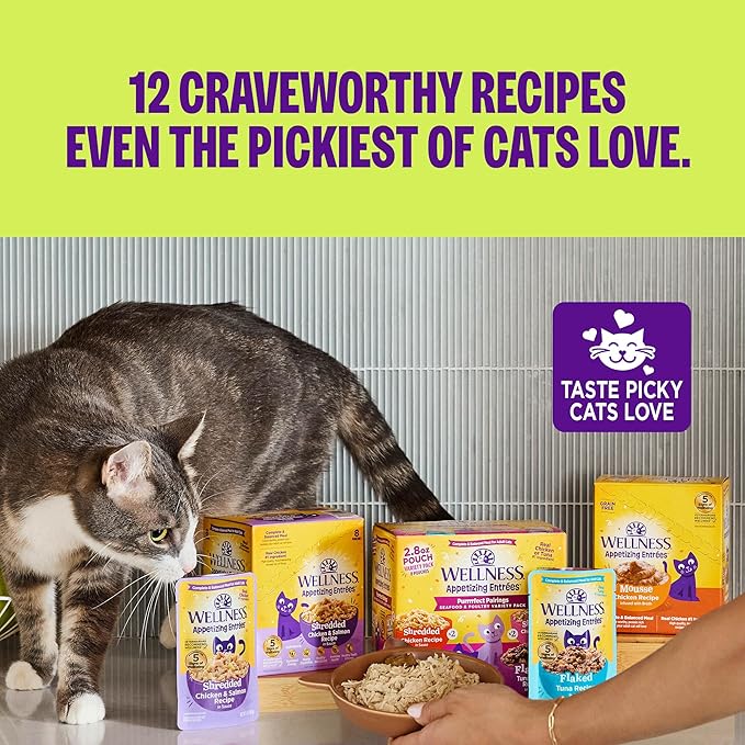 Wellness Appetizing Entrées Shredded Adult Wet Cat Food, Natural, Protein-Rich, Grain Free, 2.8 Ounce Pouch, 8 Pack (Chicken & Duck Recipe)