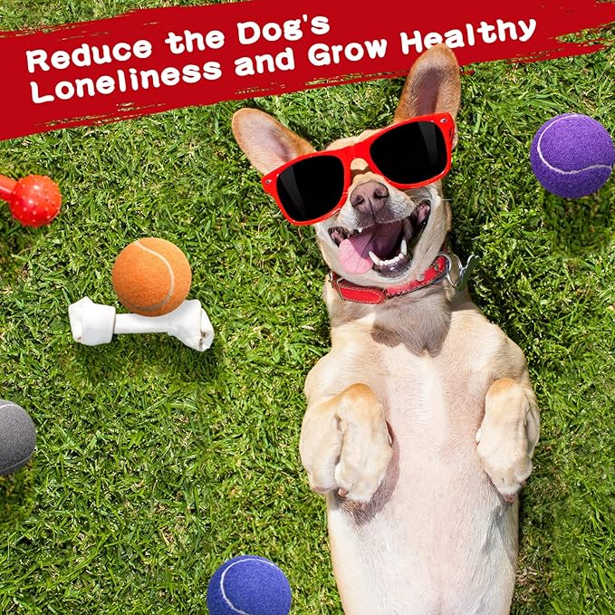 Yunsailing 30 Pieces Dog Tennis Balls Bulk 2.5 Inch Tennis Balls for Dogs Colored Mini Pet Toy Bulk for Large Medium Small Puppy Training Exercis(Multicolor)